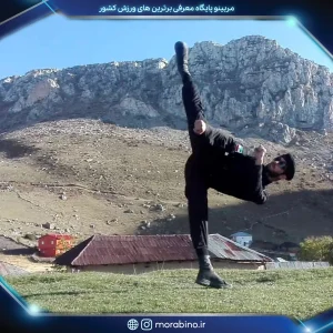 آرمان حبیب نژاد