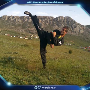 آرمان حبیب نژاد