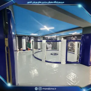 صبا جباری