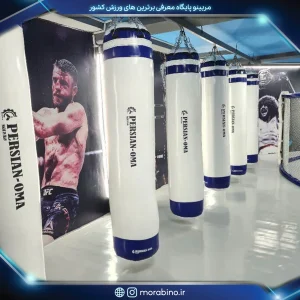 صبا جباری