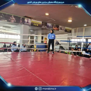 صبا جباری