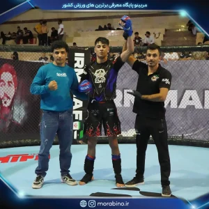 مجتبی کاشانی