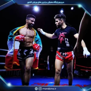مجتبی کاشانی