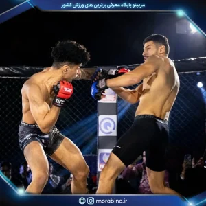 مجتبی کاشانی