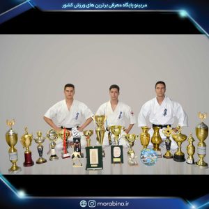 یاسر خاوری