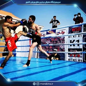 مهرداد کرد