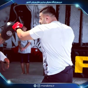 امید مظلومی