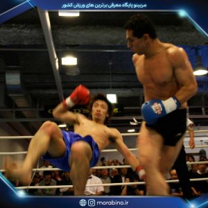 حمیدرضا محمدپور