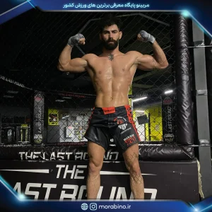 سعید محسنی