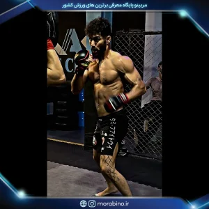 سعید محسنی