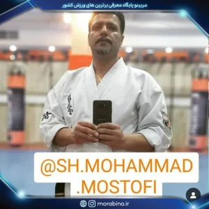 محمد مستوفی