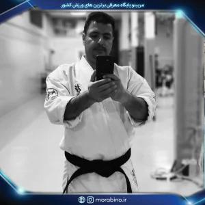 محمد مستوفی