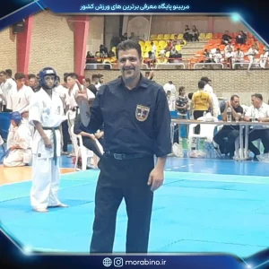 محمد مستوفی