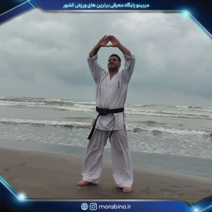 محمد مستوفی