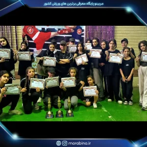 مهدیس نادم پور