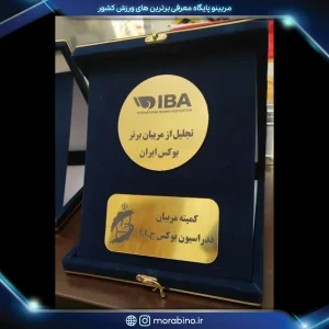 مهدیس نادم پور