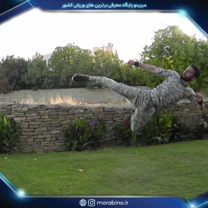محمدرضا نامدار