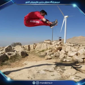 محمدرضا نامدار