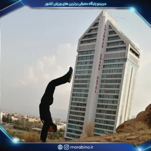 محمدرضا نامدار