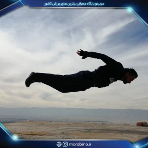 محمدرضا نامدار