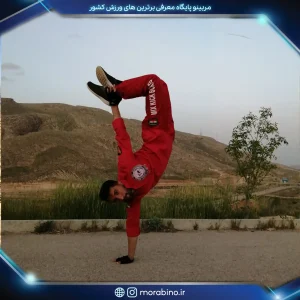 محمدرضا نامدار