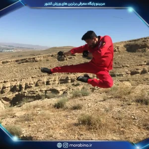 محمدرضا نامدار
