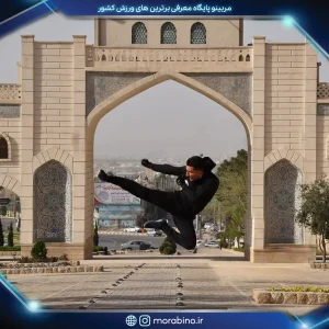 محمدرضا نامدار
