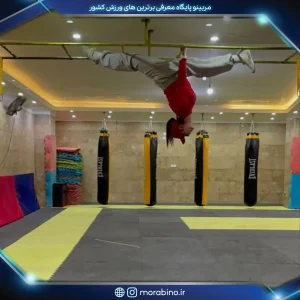فاطمه نامور فرد