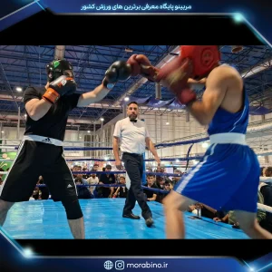 گرشا نصیر
