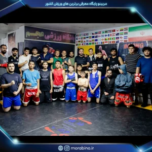 گرشا نصیر