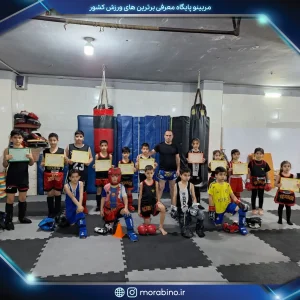 محمد حسین نظری لیافویی
