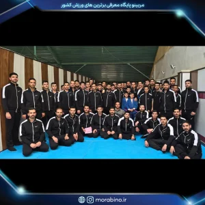 رامین نیک انجام