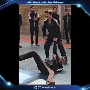 رامین نیک انجام