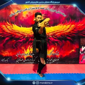 حسین صادقی