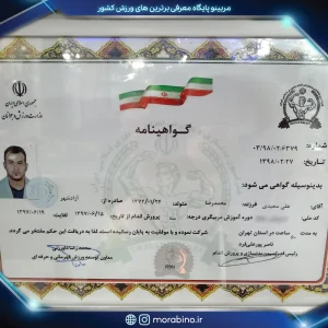علی سعیدی