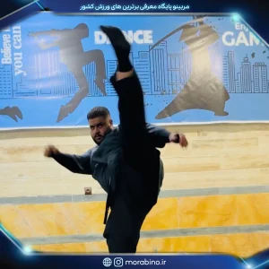امین شرفی