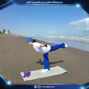 مینا شیخی پور