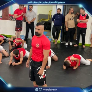 علیرضا تکین
