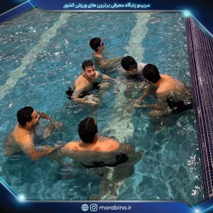 امیرحسین وارسته