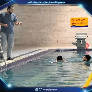 امیرحسین وارسته