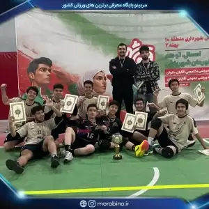 رامین برگشادی