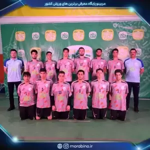 رامین برگشادی