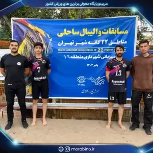 رامین برگشادی