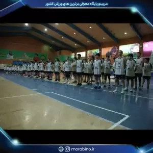 رامین برگشادی