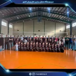 رامین برگشادی