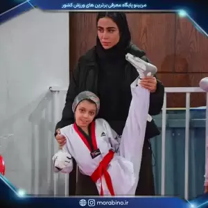 مهدیس خراسانی