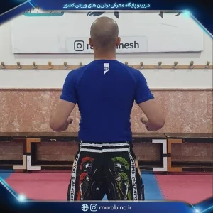 علی محمودی