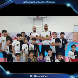 علی محمودی