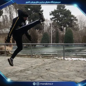 علی محمودی