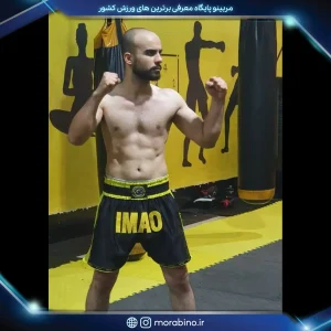 علی محمودی
